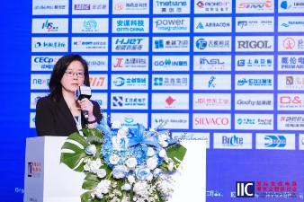 亮相IIC Shenzhen 2024，爱芯元智仇肖莘分享AI时代半导体新机遇