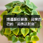 博通股价暴涨,迎来自己的“英伟达时刻”(图3) 博通股价暴涨,迎来自己的“英伟达时刻”(图3)