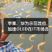 苹果、华为示范效应,加速OLED在IT市场普及应用(图3) 苹果、华为示范效应,加速OLED在IT市场普及应用(图3)