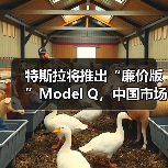 特斯拉将推出“廉价版”Model Q,中国市场售价14万起(图2) 特斯拉将推出“廉价版”Model Q,中国市场售价14万起(图2)