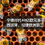 宁德时代40亿欧元落子西班牙,投建欧洲第三座电池工厂(图2) 宁德时代40亿欧元落子西班牙,投建欧洲第三座电池工厂(图2)