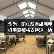 华为:明年所有旗舰手机手表都将支持这一协议,原Mate和P系列也可升级(图4) 华为:明年所有旗舰手机手表都将支持这一协议,原Mate和P系列也可升级(图4)