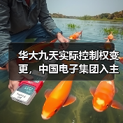 华大九天实际控制权变更,中国电子集团入主(图4) 华大九天实际控制权变更,中国电子集团入主(图4)