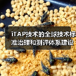 iTAP技术的全球技术标准治理和测评体系建设(图2) iTAP技术的全球技术标准治理和测评体系建设(图2)
