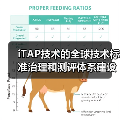 iTAP技术的全球技术标准治理和测评体系建设(图3) iTAP技术的全球技术标准治理和测评体系建设(图3)