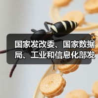 国家发改委、国家数据局、工业和信息化部发布《国家数据基础设施建设指引》(图2) 国家发改委、国家数据局、工业和信息化部发布《国家数据基础设施建设指引》(图2)