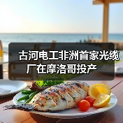 古河电工非洲首家光缆厂在摩洛哥投产(图2) 古河电工非洲首家光缆厂在摩洛哥投产(图2)