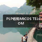 PLP收购MICOS TELCOM(图3) PLP收购MICOS TELCOM(图3)