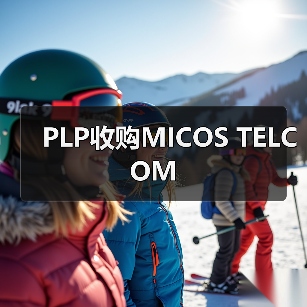 PLP收购MICOS TELCOM(图4) PLP收购MICOS TELCOM(图4)