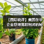 【国际锐评】美国在华企业获得高额利润的秘密(图2) 【国际锐评】美国在华企业获得高额利润的秘密(图2)