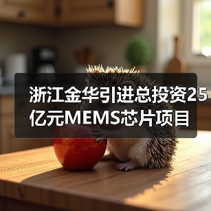 浙江金华引进总投资25亿元MEMS芯片项目(图2) 浙江金华引进总投资25亿元MEMS芯片项目(图2)