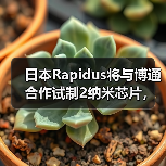 日本Rapidus将与博通合作试制2纳米芯片,最快6月提供芯片原型(图4) 日本Rapidus将与博通合作试制2纳米芯片,最快6月提供芯片原型(图4)