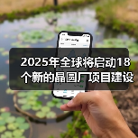 2025年全球将启动18个新的晶圆厂项目建设,中国有5个(图4) 2025年全球将启动18个新的晶圆厂项目建设,中国有5个(图4)
