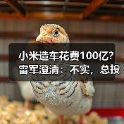 小米造车花费100亿?雷军澄清:不实,总投资已近300亿(图4) 小米造车花费100亿?雷军澄清:不实,总投资已近300亿(图4)