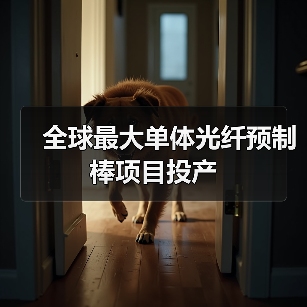 全球最大单体光纤预制棒项目投产(图3) 全球最大单体光纤预制棒项目投产(图3)