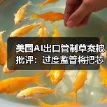 美国AI出口管制草案被批评:过度监管将把芯片市场拱手让给中国(图3) 美国AI出口管制草案被批评:过度监管将把芯片市场拱手让给中国(图3)