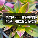 美国AI出口管制草案被批评:过度监管将把芯片市场拱手让给中国(图4) 美国AI出口管制草案被批评:过度监管将把芯片市场拱手让给中国(图4)