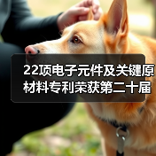 22项电子元件及关键原材料专利荣获第二十届中国专利奖(图2) 22项电子元件及关键原材料专利荣获第二十届中国专利奖(图2)