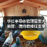 华虹半导体管理层重大调整:唐均君接任董事会主席,白鹏获委新任总裁(图3) 华虹半导体管理层重大调整:唐均君接任董事会主席,白鹏获委新任总裁(图3)