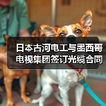 日本古河电工与墨西哥电视集团签订光缆合同