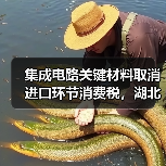 集成电路关键材料取消进口环节消费税,湖北企业将退税逾1500万元(图2) 集成电路关键材料取消进口环节消费税,湖北企业将退税逾1500万元(图2)