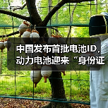 中国发布首批电池ID,动力电池迎来“身份证”时代(图3) 中国发布首批电池ID,动力电池迎来“身份证”时代(图3)