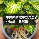 美国国防部更新涉军企业清单,将腾讯、宁德时代、长鑫存储等中企列入(图4) 美国国防部更新涉军企业清单,将腾讯、宁德时代、长鑫存储等中企列入(图4)