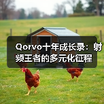 Qorvo十年成长录:射频王者的多元化征程(图4) Qorvo十年成长录:射频王者的多元化征程(图4)