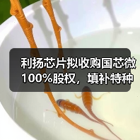利扬芯片拟收购国芯微 100%股权,填补特种芯片相关领域空白(图2) 利扬芯片拟收购国芯微 100%股权,填补特种芯片相关领域空白(图2)