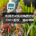 利扬芯片拟收购国芯微 100%股权,填补特种芯片相关领域空白(图4) 利扬芯片拟收购国芯微 100%股权,填补特种芯片相关领域空白(图4)