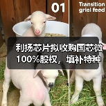 利扬芯片拟收购国芯微 100%股权,填补特种芯片相关领域空白(图3) 利扬芯片拟收购国芯微 100%股权,填补特种芯片相关领域空白(图3)