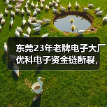 东莞23年老牌电子大厂优科电子资金链断裂,员工原地解散(图3) 东莞23年老牌电子大厂优科电子资金链断裂,员工原地解散(图3)