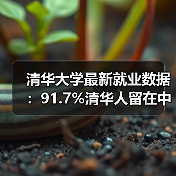 清华大学最新就业数据:91.7%清华人留在中国,破除人才外流误传(图4) 清华大学最新就业数据:91.7%清华人留在中国,破除人才外流误传(图4)
