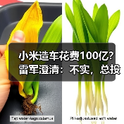 小米造车花费100亿?雷军澄清:不实,总投资已近300亿(图3) 小米造车花费100亿?雷军澄清:不实,总投资已近300亿(图3)