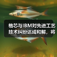 格芯与IBM对先进工艺技术纠纷达成和解,将进一步合作(图4) 格芯与IBM对先进工艺技术纠纷达成和解,将进一步合作(图4)