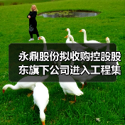 永鼎股份拟收购控股股东旗下公司进入工程集成施工领域(图2) 永鼎股份拟收购控股股东旗下公司进入工程集成施工领域(图2)
