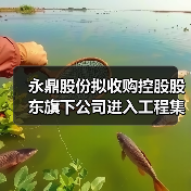 永鼎股份拟收购控股股东旗下公司进入工程集成施工领域(图4) 永鼎股份拟收购控股股东旗下公司进入工程集成施工领域(图4)