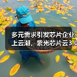 多元需求引发芯片企业上云潮,紫光芯片云3.0一站实现四重服务(图4) 多元需求引发芯片企业上云潮,紫光芯片云3.0一站实现四重服务(图4)
