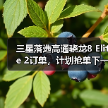 三星落选高通骁龙8 Elite 2订单,计划抢单下一代2nm工艺(图3) 三星落选高通骁龙8 Elite 2订单,计划抢单下一代2nm工艺(图3)