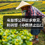 商务部公开征求意见,拟调整《中国禁止出口限制出口技术目录》(图2) 商务部公开征求意见,拟调整《中国禁止出口限制出口技术目录》(图2)