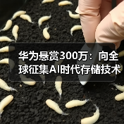 华为悬赏300万:向全球征集AI时代存储技术难题解答(图3) 华为悬赏300万:向全球征集AI时代存储技术难题解答(图3)