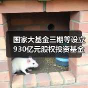 国家大基金三期等设立930亿元股权投资基金,目标芯片全产业链(图2) 国家大基金三期等设立930亿元股权投资基金,目标芯片全产业链(图2)